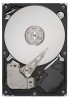 Get Seagate ST3160318AS - Barracuda 7200.12 - Hard Drive PDF manuals and user guides