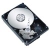 Get Seagate ST3160812A PDF manuals and user guides