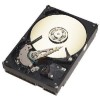 Get Seagate ST3160812AS PDF manuals and user guides