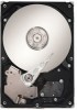 Get Seagate ST3250310SV - 250GB 7200RPM Sata Surveillanc PDF manuals and user guides