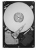 Get Seagate SV35.5 - Series 250 GB Hard Drive PDF manuals and user guides