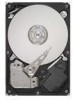 Get Seagate ST3250318AS - Barracuda 250 GB Hard Drive PDF manuals and user guides