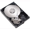 Get Seagate ST3250410AS PDF manuals and user guides