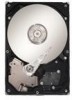 Get Seagate SV35.2 - Series 320 GB Hard Drive PDF manuals and user guides