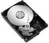Get Seagate ST3400620A - Barracuda 7200.10 - Hard Drive PDF manuals and user guides