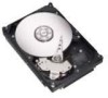Get Seagate NL35 - Series 400 GB Hard Drive PDF manuals and user guides