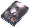 Get Seagate ST34555W - Hawk 4.5 GB Hard Drive PDF manuals and user guides