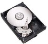 Get Seagate ST3500620SS - 500GB 7200RPM Sata Sas PDF manuals and user guides