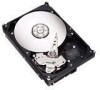 Get Seagate ST3500641NS - NL35.2 Series 500 GB Hard Drive PDF manuals and user guides
