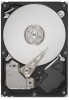 Get Seagate ST3750528AS - Barracuda 7200.12 750 GB 7200RPM SATA 3 GB/s 32 MB Cache Hard Drive PDF manuals and user guides