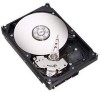 Get Seagate ST3750630SS - 750GB 7200RPM Sata Sas PDF manuals and user guides