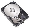 Get Seagate ST380811AS - Barracuda 7200.9 - Hard Drive PDF manuals and user guides