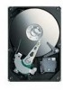 Get Seagate ST903203N1A2AS-RK - Momentus 320 GB Hard Drive PDF manuals and user guides