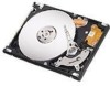 Get Seagate ST910021AS - Momentus 7200.1 100 GB Hard Drive PDF manuals and user guides