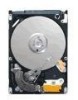 Get Seagate ST9120315AS - Momentus 5400.6 120 GB Hard Drive PDF manuals and user guides