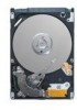 Get Seagate ST9120411ASG - Momentus 7200.3 120 GB Hard Drive PDF manuals and user guides