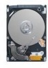 Get Seagate FDE.2 - Momentus 5400 120 GB Hard Drive PDF manuals and user guides