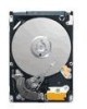 Get Seagate ST9160310AS - Momentus 5400.5 160 GB Hard Drive PDF manuals and user guides