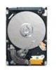 Get Seagate ST9160314AS - Momentus 5400.6 160 GB Hard Drive PDF manuals and user guides