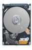 Get Seagate ST9160412AS - Momentus 7200.4 160 GB Hard Drive PDF manuals and user guides
