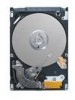 Get Seagate ST9250317AS - Momentus 5400 FDE 250 GB Hard Drive PDF manuals and user guides