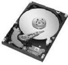 Get Seagate ST94019A - Momentus 42 40 GB Hard Drive PDF manuals and user guides