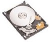 Get Seagate ST96812A - Momentus 5400.2 60 GB Hard Drive PDF manuals and user guides
