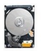 Get Seagate ST980310AS - Momentus 5400.5 80 GB Hard Drive PDF manuals and user guides