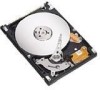 Get Seagate ST980825A - Momentus 7200.1 80 GB Hard Drive PDF manuals and user guides