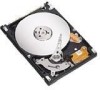 Get Seagate ST980825AS - Momentus 7200.1 80 GB Hard Drive PDF manuals and user guides