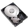 Get Seagate STM3250310AS - Maxtor DiamondMax 250 GB Hard Drive PDF manuals and user guides