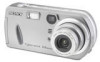 Get Sony DSC-P92 - Cyber-shot Digital Still Camera PDF manuals and user guides