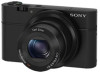 Get Sony DSC-RX100 PDF manuals and user guides