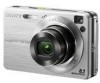 Get Sony DSC W130 - Cyber-shot Digital Camera PDF manuals and user guides