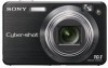 Get Sony DSCW170 - Cybershot 10.1MP Digital Camera PDF manuals and user guides