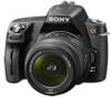 Get Sony DSLR-A290L - alpha; Digital Single Lens Reflex Camera Zoom PDF manuals and user guides