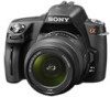 Get Sony DSLR-A390L - alpha; Digital Single Lens Reflex Camera Zoom PDF manuals and user guides