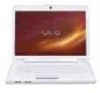 Get Sony VGN CS320J - VAIO CS Series PDF manuals and user guides