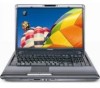 Get Toshiba P305DS8818 - Satellite - Turion 64 X2 2.1 GHz PDF manuals and user guides