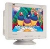 Get ViewSonic G70F - 17inch CRT Display PDF manuals and user guides