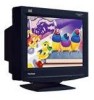 Get ViewSonic P95f - 19inch CRT Display PDF manuals and user guides