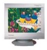Get ViewSonic PT770 - 17inch CRT Display PDF manuals and user guides