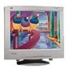 Get ViewSonic PT813 - 21inch CRT Display PDF manuals and user guides