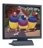 Get ViewSonic Q190MB - 19inch LCD Monitor PDF manuals and user guides