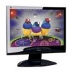 Get ViewSonic VX1932wm - 19inch LCD Monitor PDF manuals and user guides