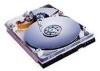 Get Western Digital AC1365 - Caviar 365.4 MB Hard Drive PDF manuals and user guides