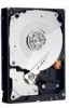 Get Western Digital WD2001FASS - Caviar 2 TB Hard Drive PDF manuals and user guides