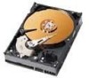 Get Western Digital WD2500BB - Caviar 250 GB Hard Drive PDF manuals and user guides