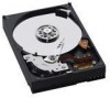 Get Western Digital WD4000AAKB - Caviar 400 GB Hard Drive PDF manuals and user guides