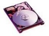 Get Western Digital WD400VE - Scorpio 40 GB Hard Drive PDF manuals and user guides